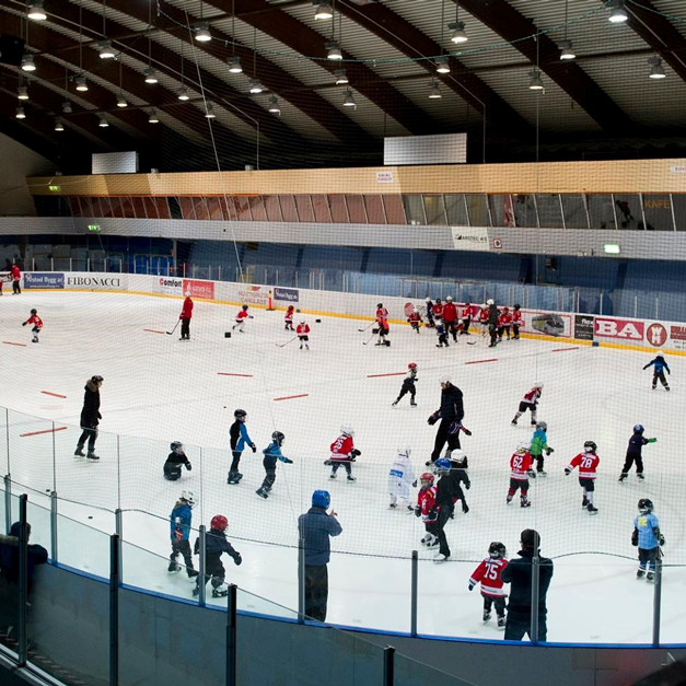 hockeyskolen